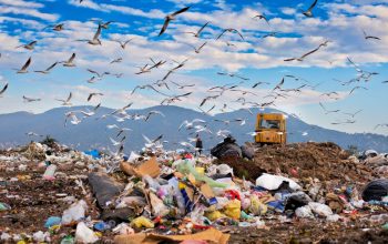 Fakta Penting tentang Polusi Udara Sumber, Dampak, dan Solusinya