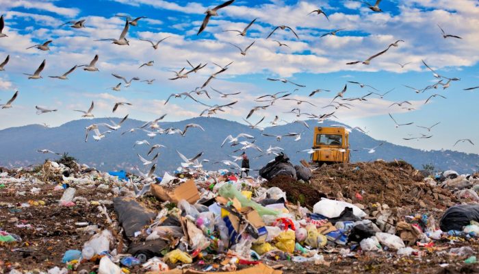 Fakta Penting tentang Polusi Udara: Sumber, Dampak, dan Solusinya