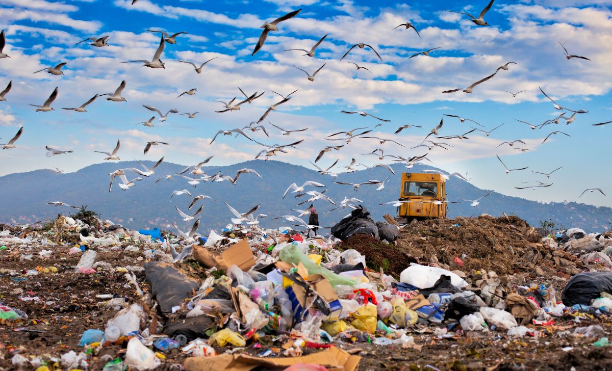 Fakta Penting tentang Polusi Udara Sumber, Dampak, dan Solusinya