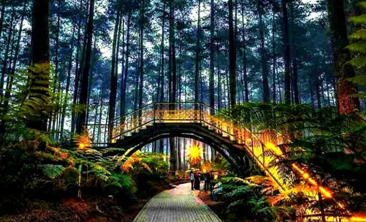 Orchid Forest tempat wisata di bandung