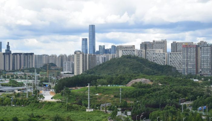 Fungsi Hutan Kota: Paru-Paru Hijau Bagi Masyarakat Urban