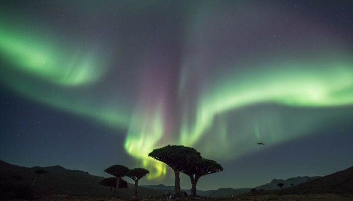 Keunikan Pulau Socotra Beserta Misteri Didalamnya