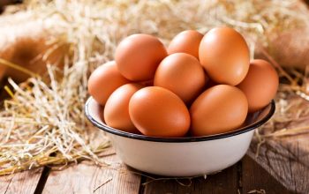 Telur Sebaiknya Disimpan Di Kulkas, Ini Penjelasan Pakar IPB