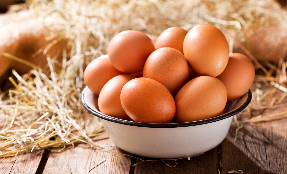 Telur Sebaiknya Disimpan Di Kulkas, Ini Penjelasan Pakar IPB